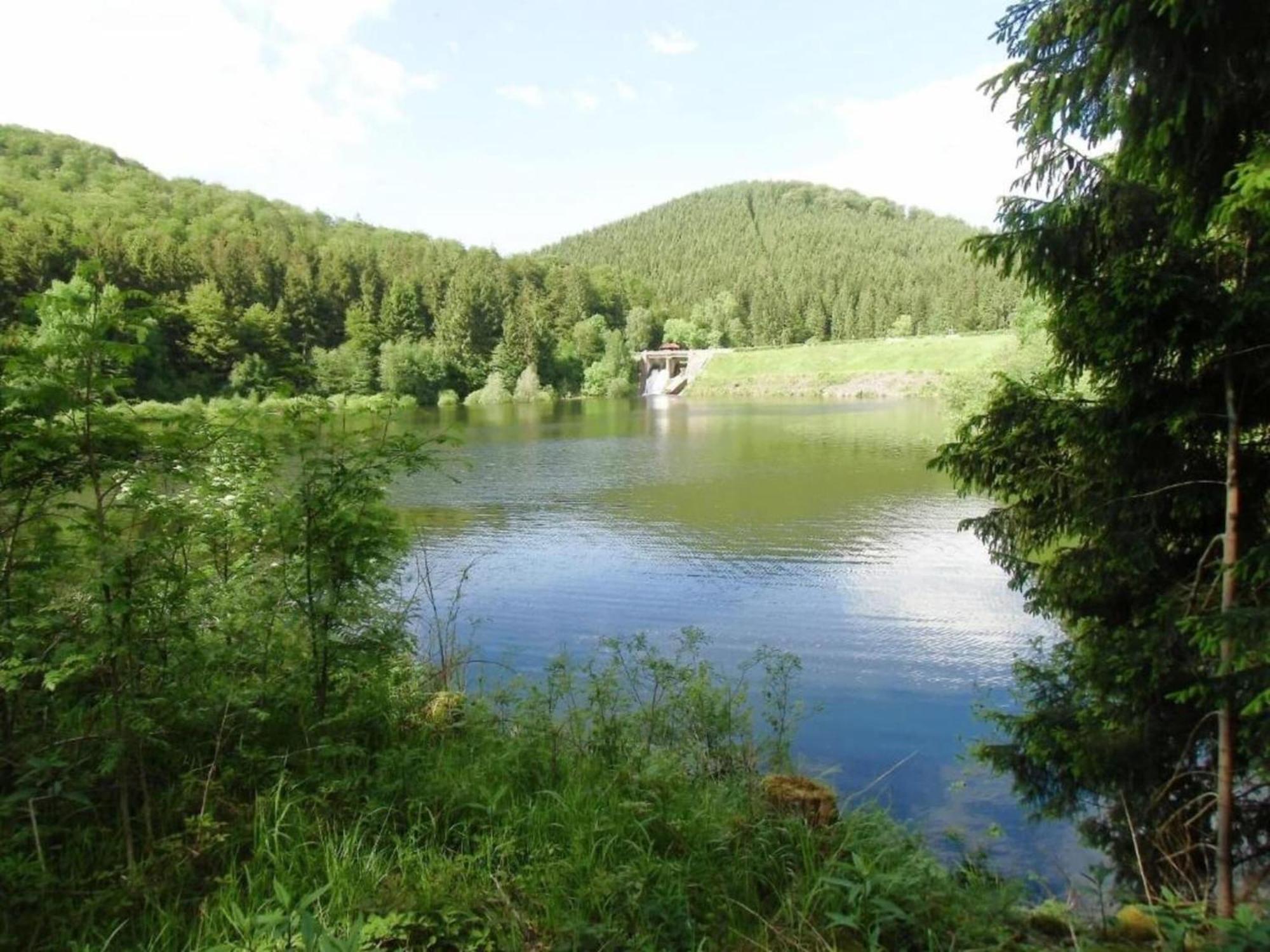 Detached Holiday Residence In The Wonderfully Beautiful Harz Kamschlacken Extérieur photo